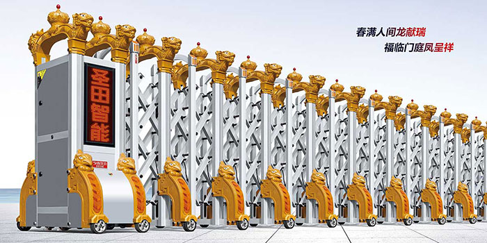 ST龍鳳呈祥（金色+銀色）